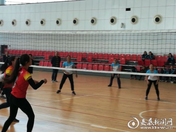 女排比赛现场