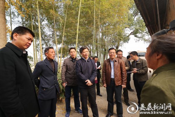 看到路旁有一间老旧红砖房连着一间破败土砖房，李荐国立即要求司机停车，走下车去了解情况