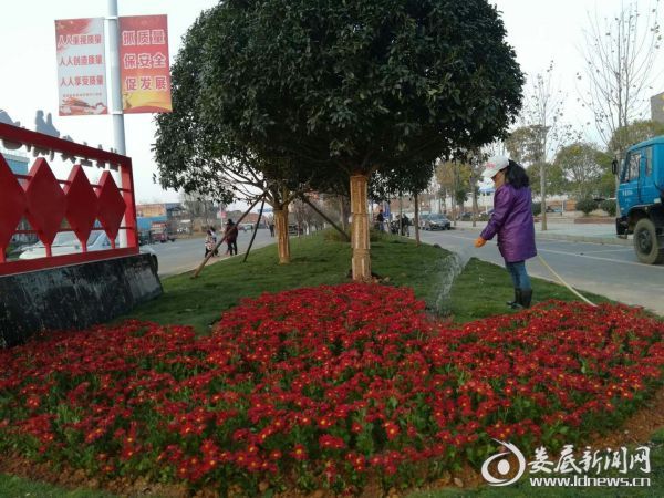 QQ图片20171224183813