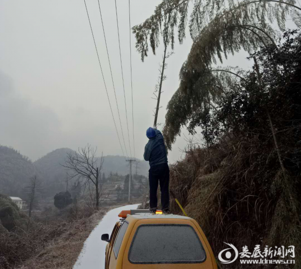 (为电力线路清障)