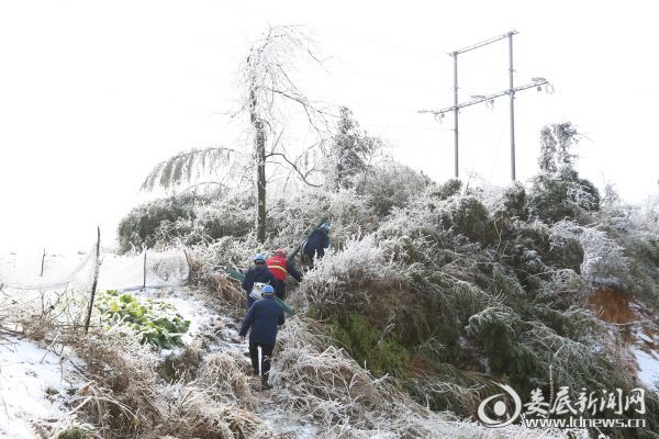 图为国网娄底供电公司城北供电所副所长龚俊华带着工友蔡爱华、范福桃、吴滕桂在雪中徒步巡线。（肖璋 摄）