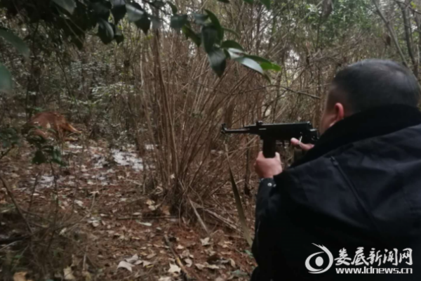 QQ图片20180204164254