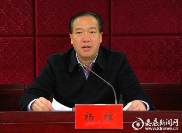 市发改委党组书记、主任杨维参加大会