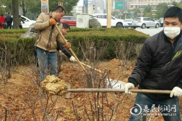 （园林工人工作现场）