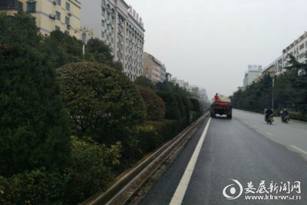 QQ图片20180212163118