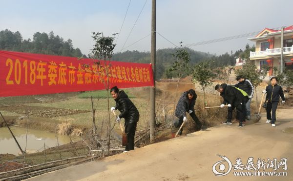（娄底市政府金融办义务植树活动）