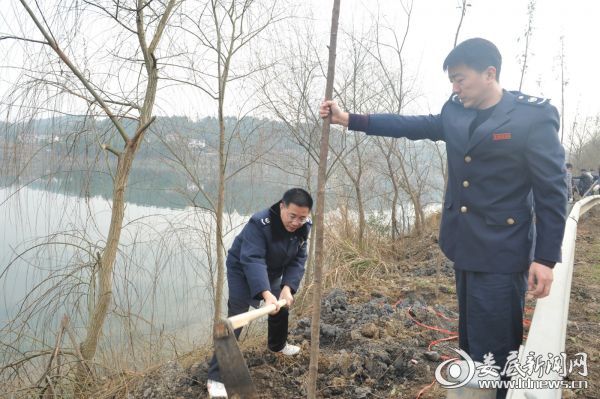 （冷水江市地税局与市文体广新局开展义务植树活动）
