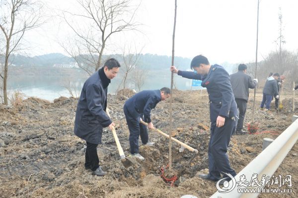 （冷水江市地税局与市文体广新局开展义务植树活动）