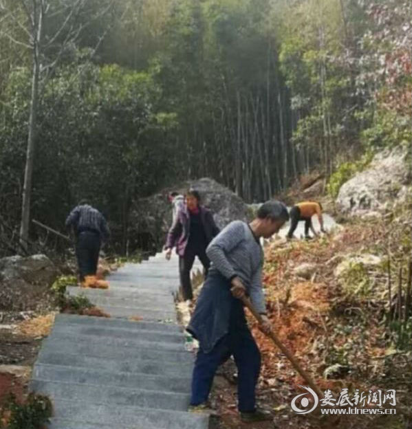 天坪村在游道旁栽花