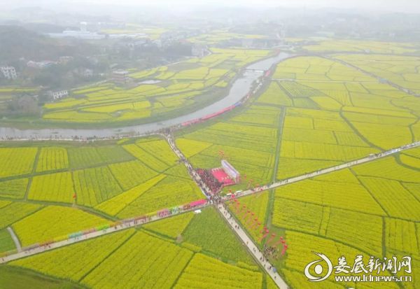 微信图片_20180316164251