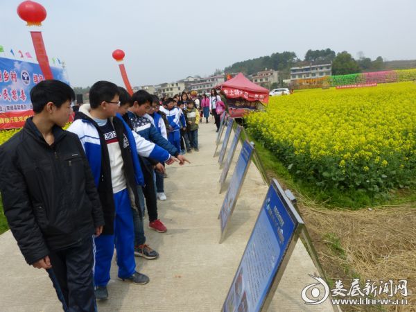 学生观看展览板