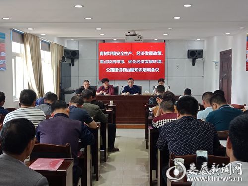 镇党委书记李国庆（右二）出席培训班并讲话