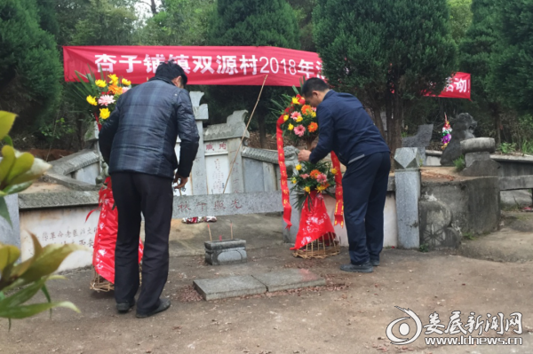 图片8