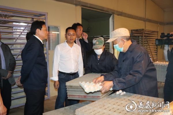 （华学健一行察看天柱山禽业专业合作社鸡舍）