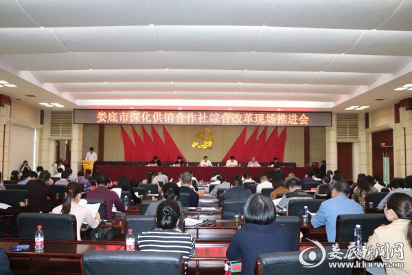 （座谈会现场）
