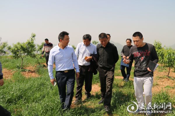 察看凤冠农林专业合作社