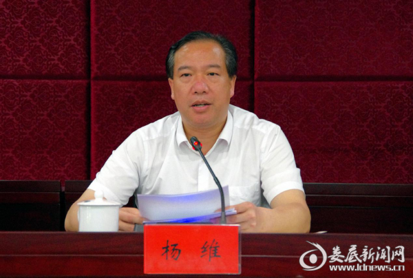 市发改委党组书记、主任杨维主持会议