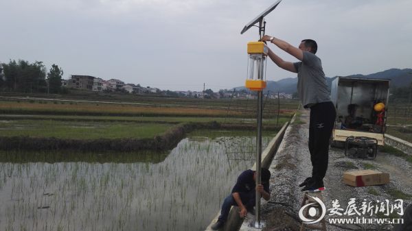 太阳能灭蚊灯安装现场