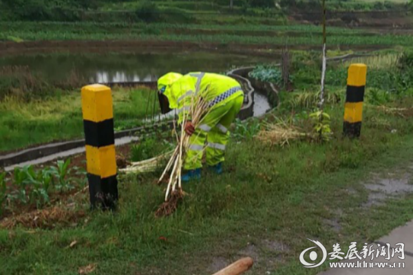 （养护人员正在清除路肩杂物）