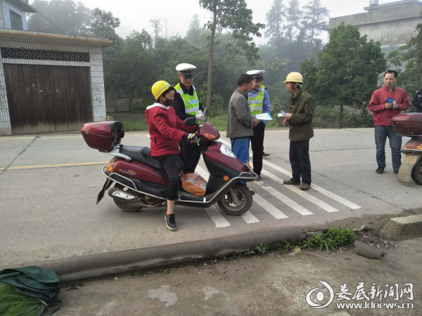 (交警拦车检查)