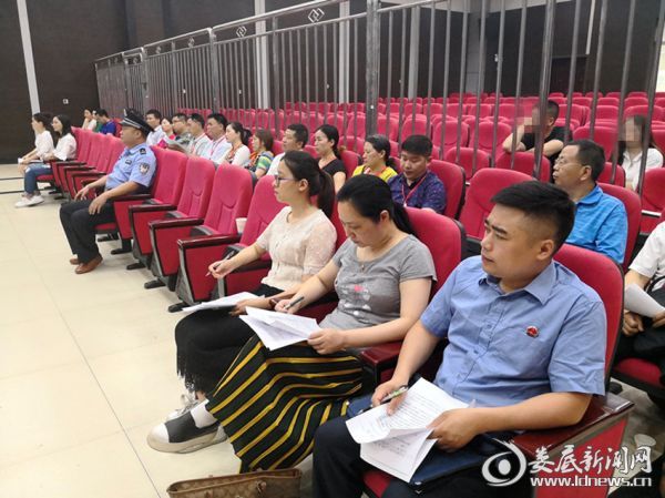 人大、政协旁听案件