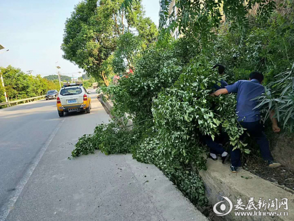 图片2