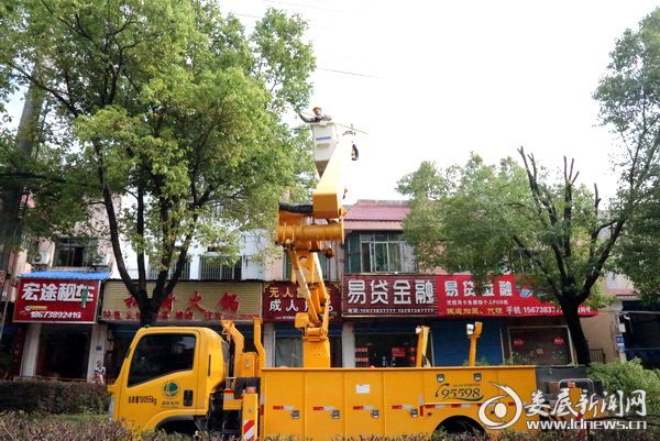 (树木“理发师” )