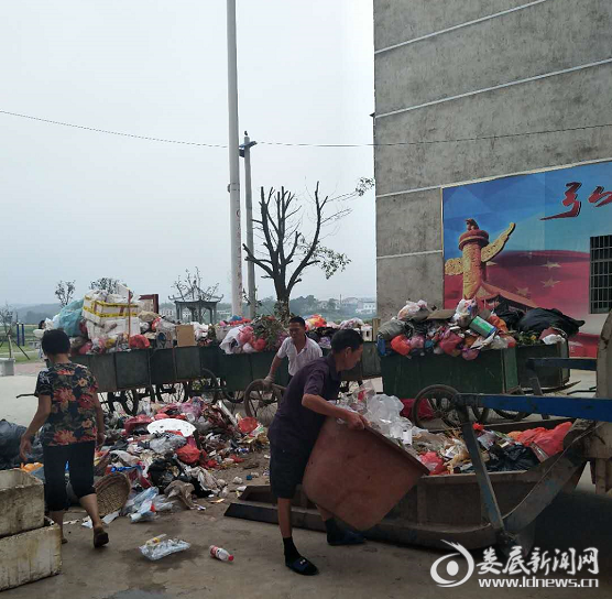 (垃圾集中收集处理照片)