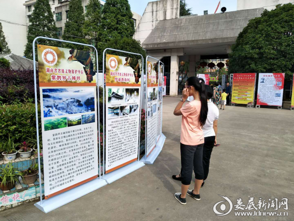 文化与自然遗产日宣传活动现场