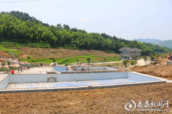 建设中的游泳池