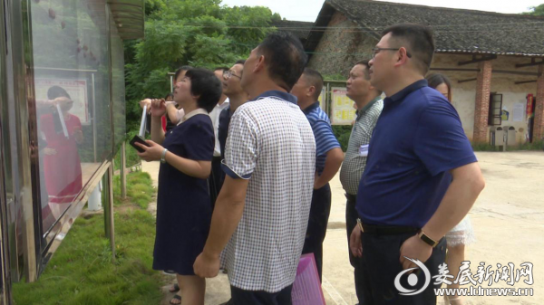 （陈慈英在新红星村村务公开栏前查看相关资料）