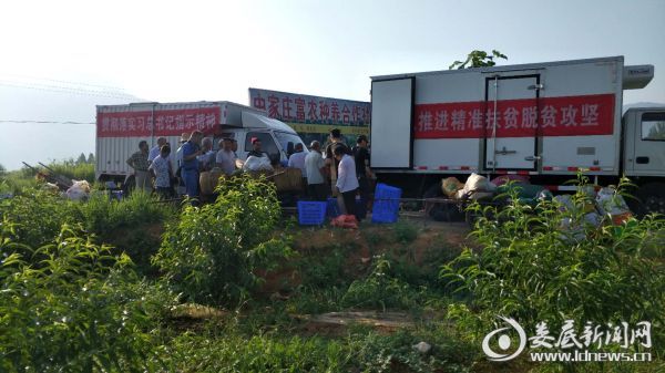 涟钢运输车在中家庄装载农产品
