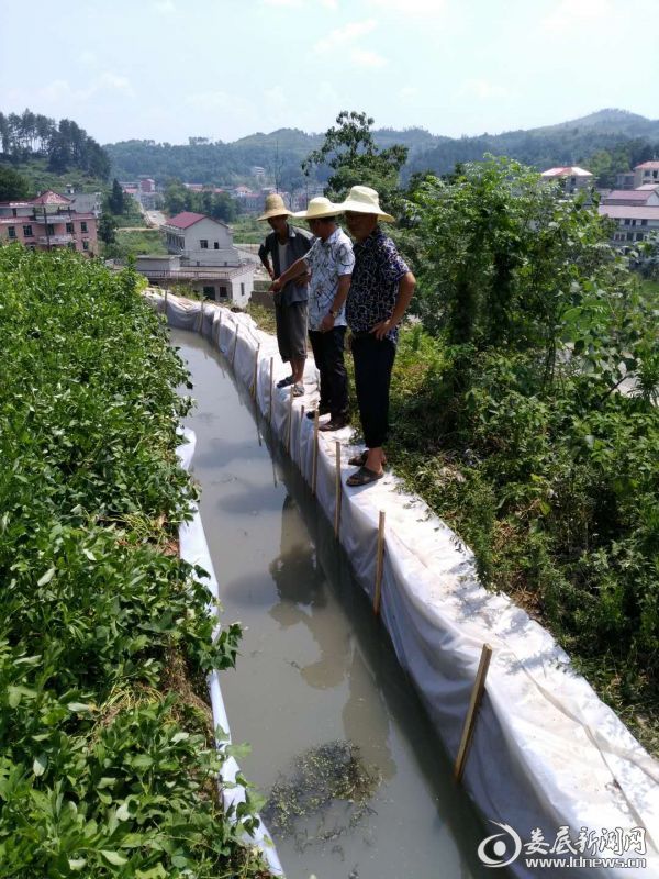 （渠道通水现场）