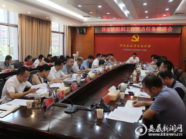 （娄底市委组织部召开县市区组织工作重点任务推进会）