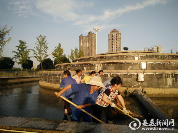 （图为清扫现场）