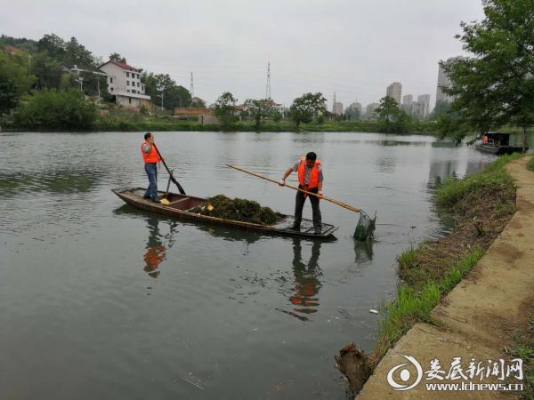 QQ图片20180801153626