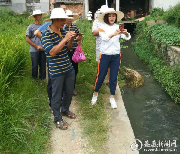 微信图片_20180802172859
