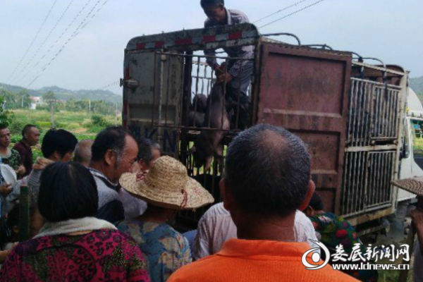 微信图片_20180815160607