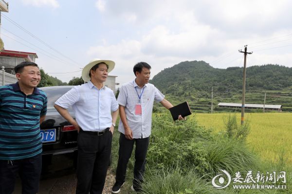 考察张家岭村级综合服务平台等项目建设情况