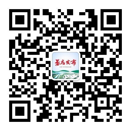 qrcode_for_gh_546f289835bf_430