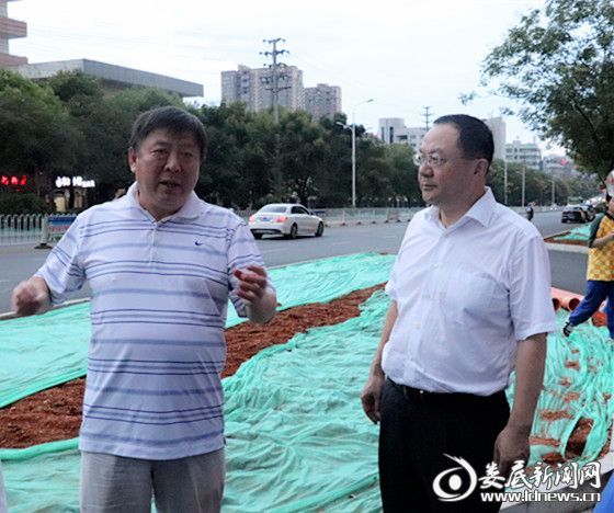 （（市委副书记、市长杨懿文检查中心城区道路提质改造整改推进情况）