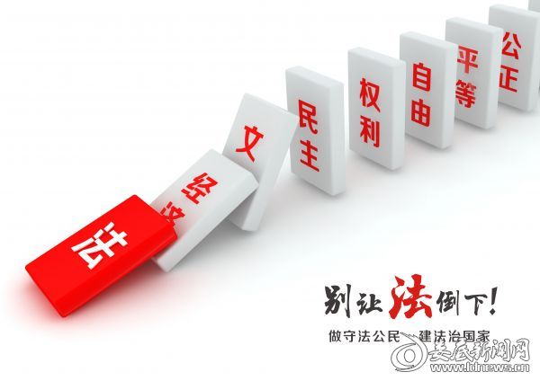 3等奖24查玉仙-别让”法“倒下