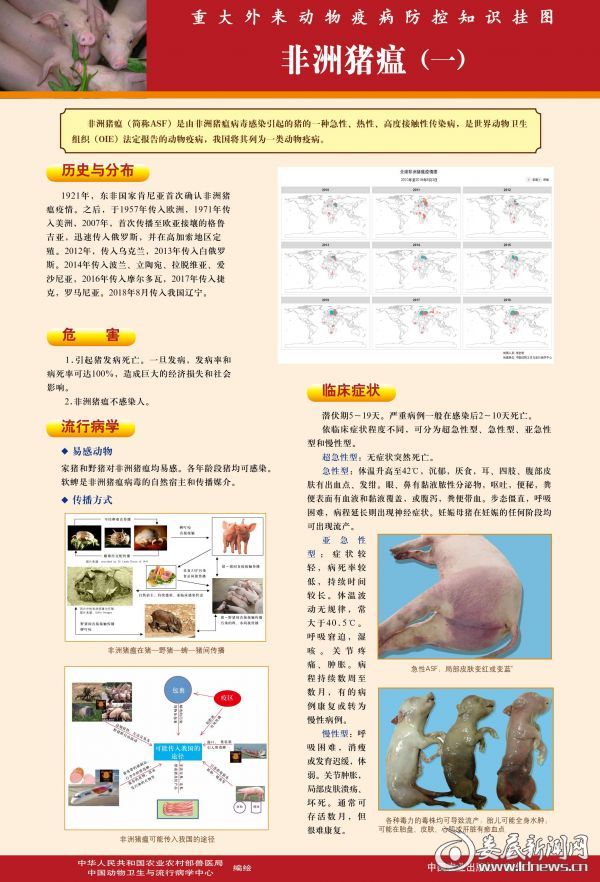 重大外来动物疫病防控知识挂图—非洲猪瘟(1)0000