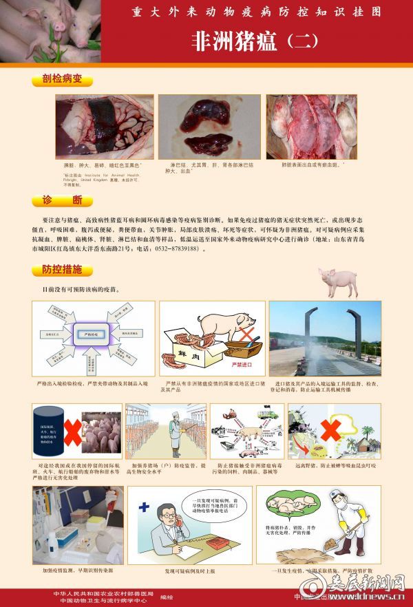 重大外来动物疫病防控知识挂图—非洲猪瘟(1)0001