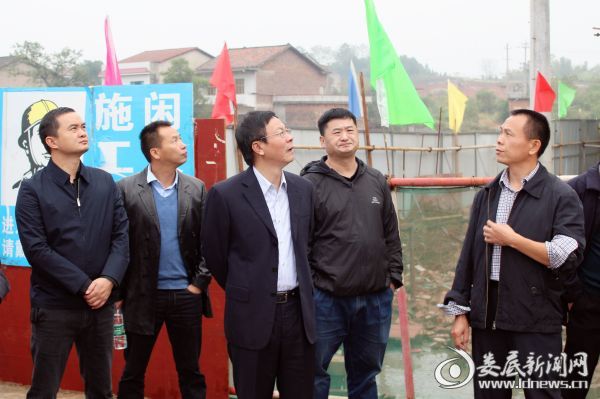 （观摩考察组在青树坪镇青树坪村安置点详细听取项目建设情况）