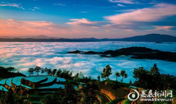 3紫鹊界梯田 方建宏《紫鹊界心田》_副本