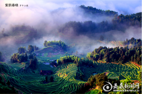 微信图片_20181029152705