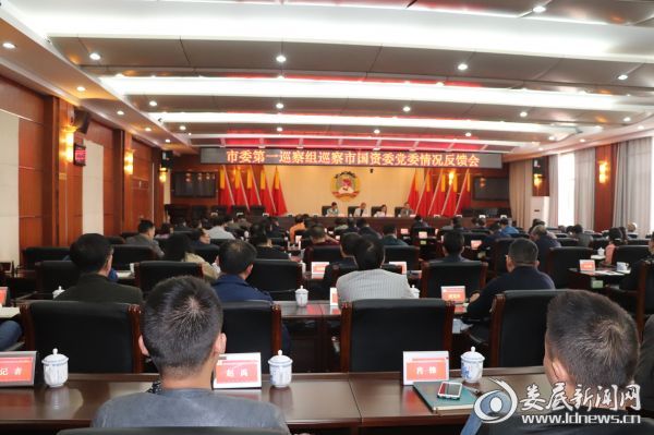 巡察组反馈巡察意见