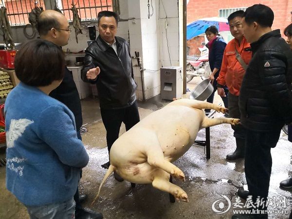 （11月7日，双峰县委副书记、县长彭石清到三塘铺镇督查非洲猪瘟防控工作。）