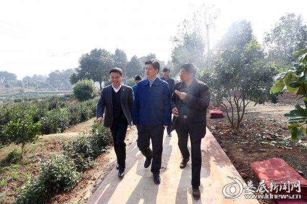 现场察看益元村通过种养殖合作社带动贫困户增收的情况